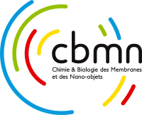 cbmm