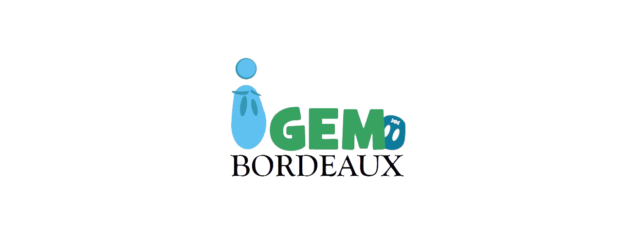 IGEM 2016