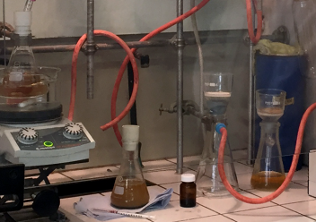 JointLab LCPO L'Oréal